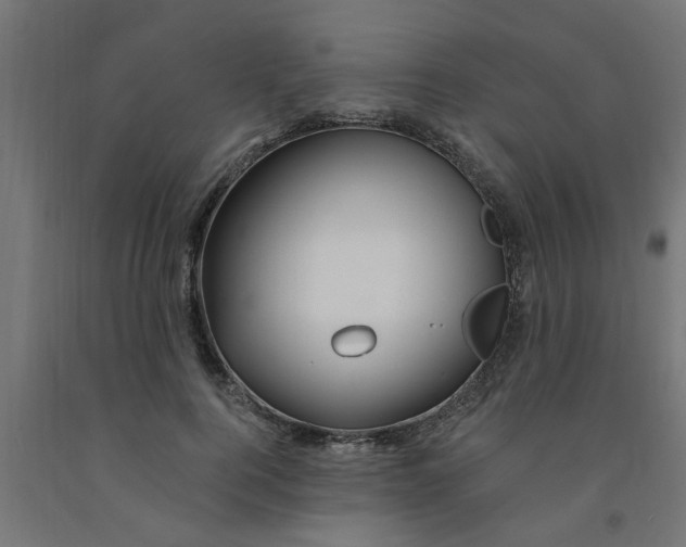 X0000090890744200708242001