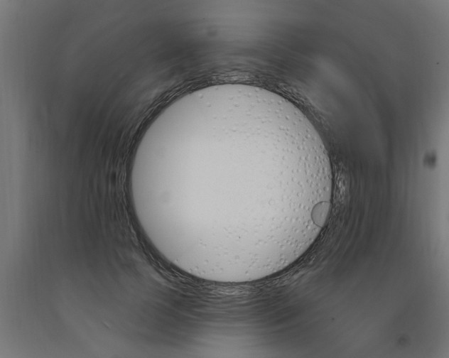 X0000090890745200708242001