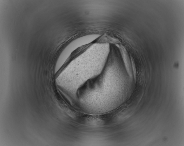 X0000090890747200708242001