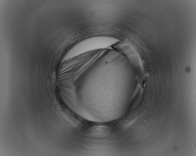 X0000090890748200708242001