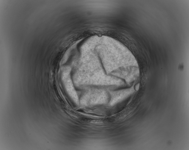 X0000090890749200708242001