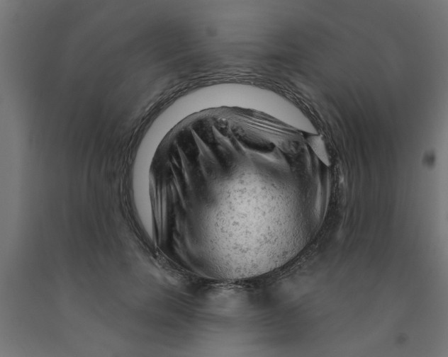 X0000090890750200708242001