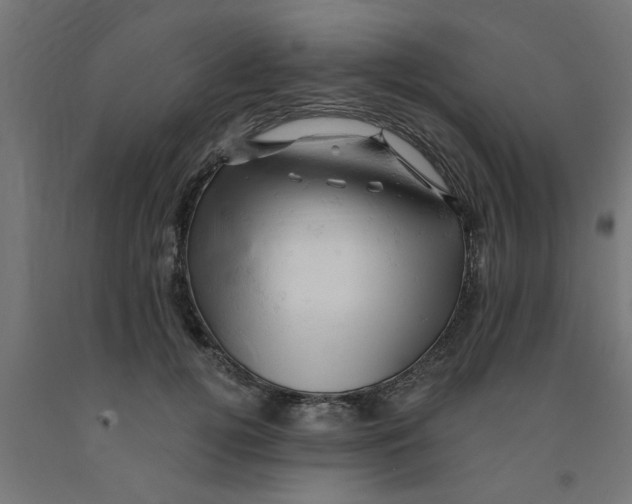 X0000090890752200708242001