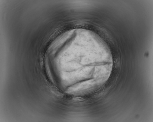 X0000090890753200708242001