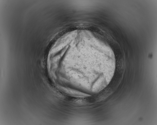 X0000090890755200708242001