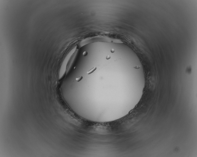 X0000090890756200708242001