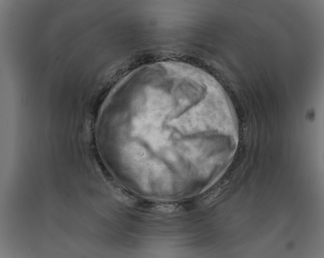 X0000090890757200708242001