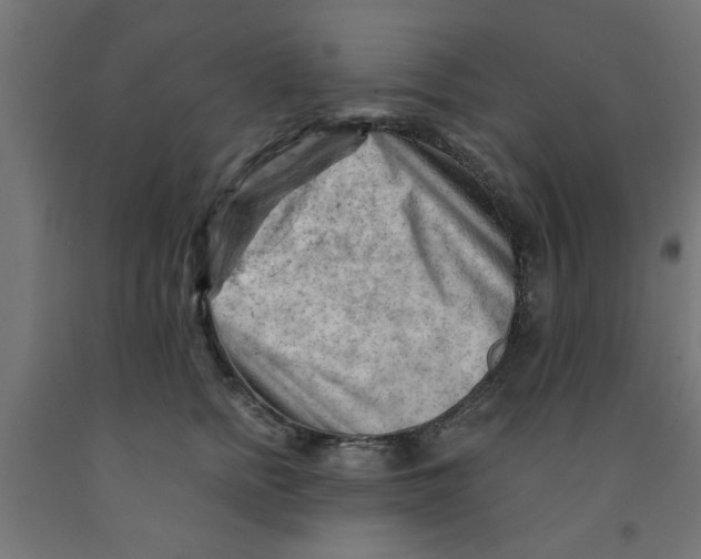 X0000090890758200708242001