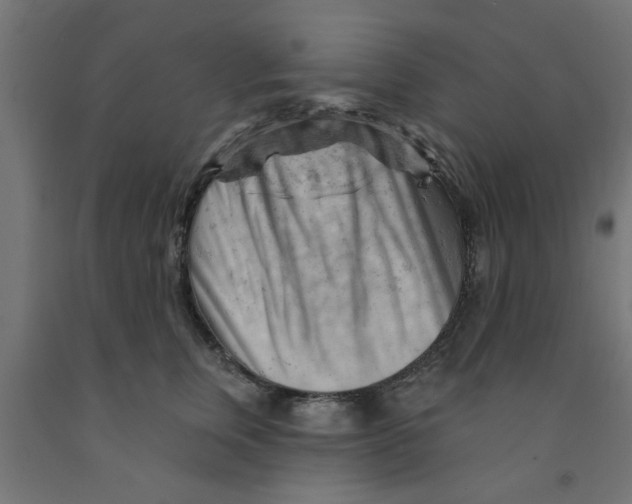 X0000090890759200708242001