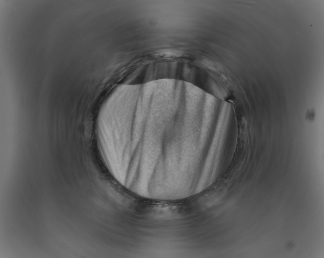 X0000090890760200708242001