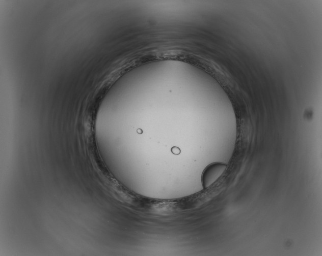 X0000090890761200708242001