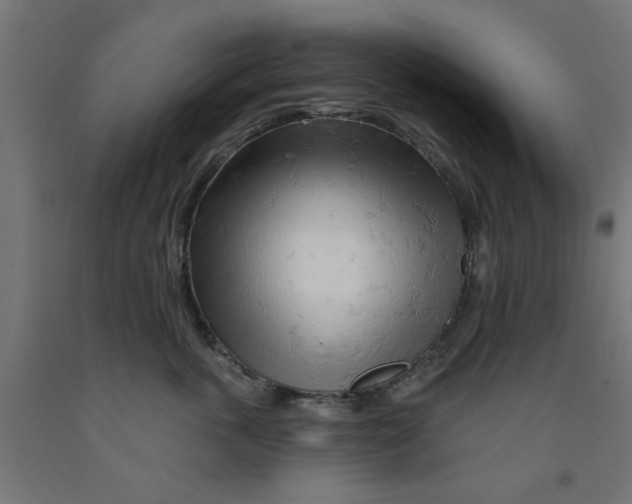 X0000090890763200708242001