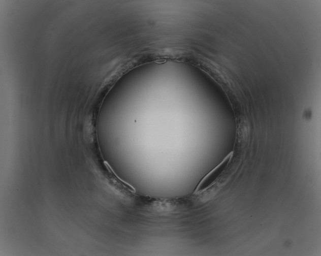 X0000090890764200708242001