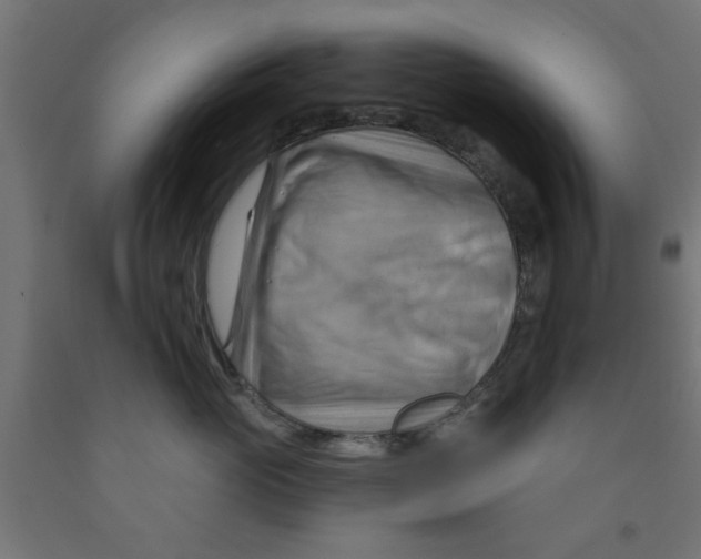 X0000090890765200708242001