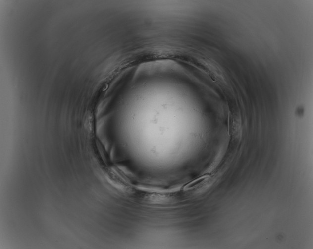 X0000090890766200708242001