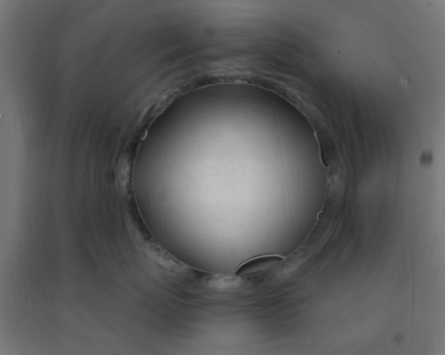 X0000090890767200708242001