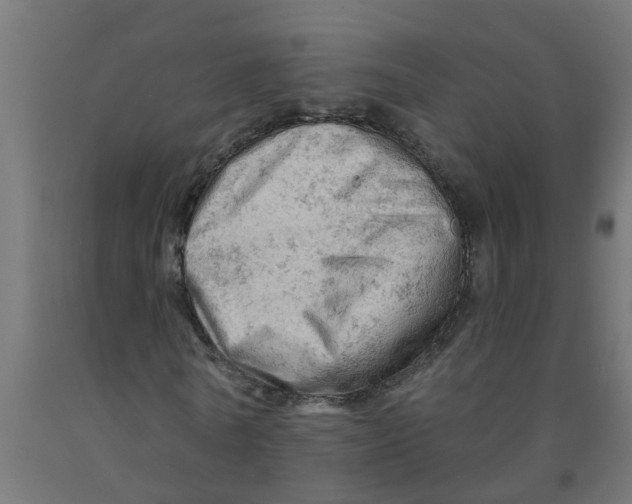 X0000090890770200708242001