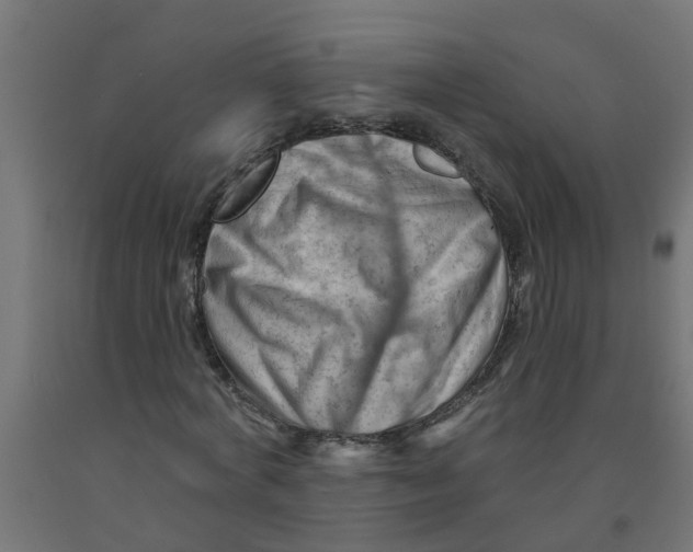 X0000090890772200708242001