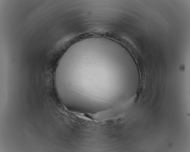 X0000090890773200708242001