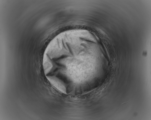 X0000090890774200708242001