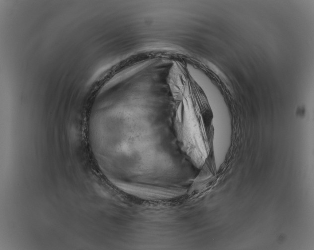 X0000090890775200708242001