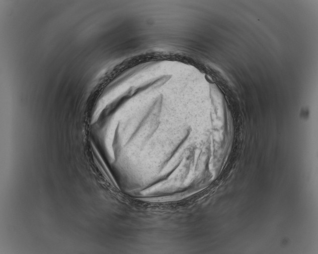 X0000090890776200708242001