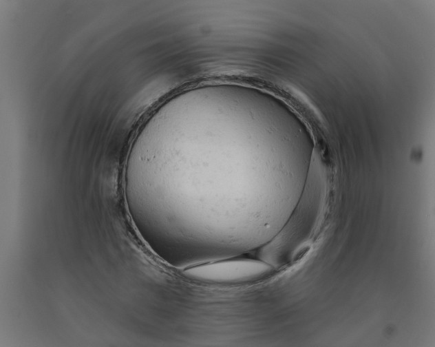 X0000090890777200708242001