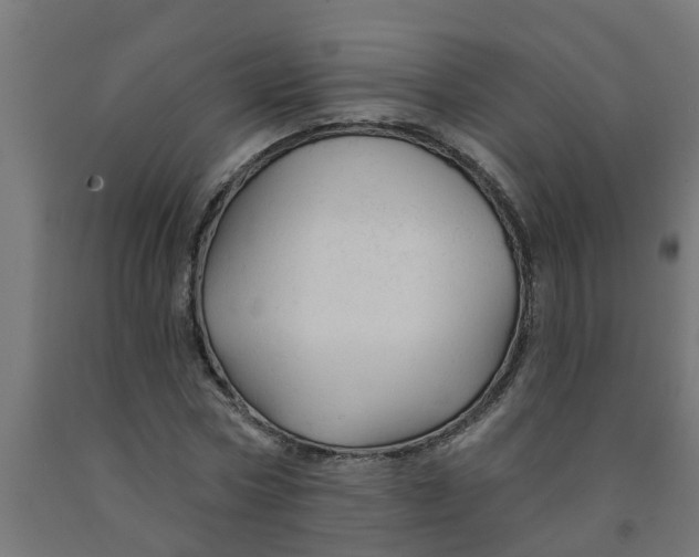 X0000090890778200708242001