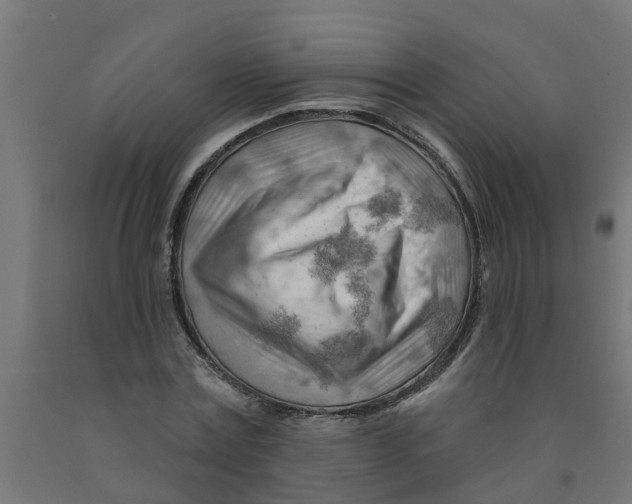 X0000090890779200708242001