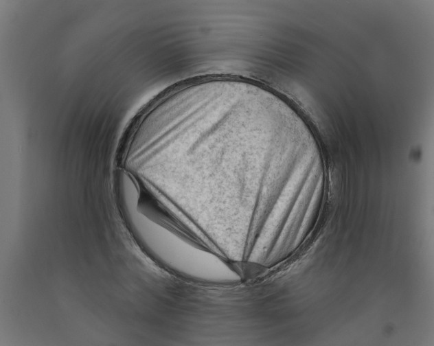 X0000090890780200708242001