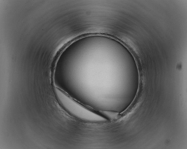 X0000090890781200708242001