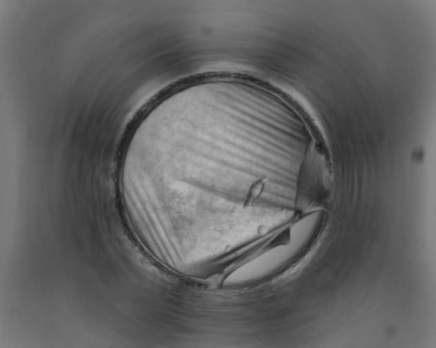 X0000090890783200708242001