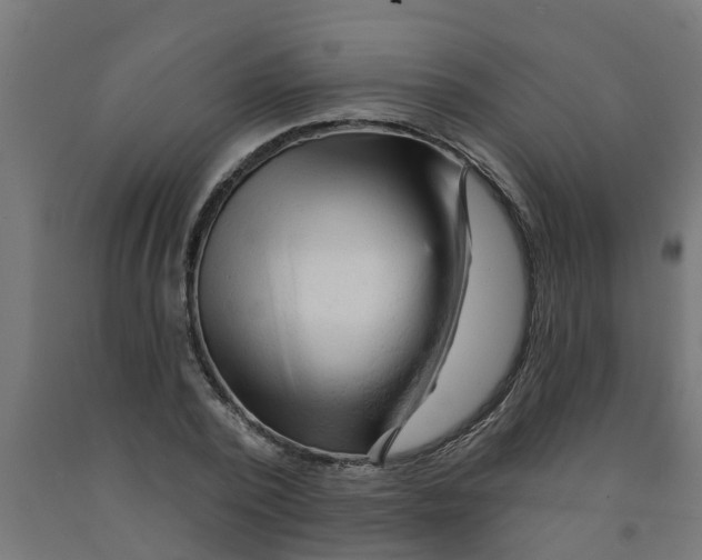 X0000090890784200708242001