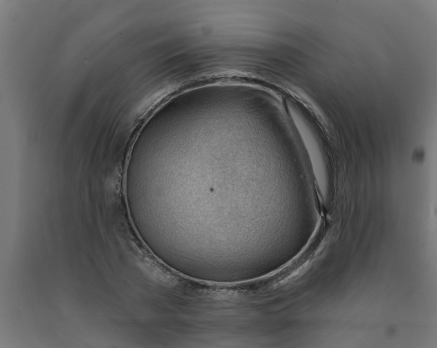 X0000090890785200708242001