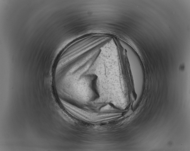 X0000090890787200708242000