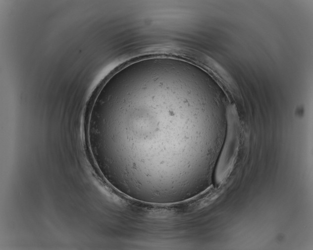 X0000090890788200708242000