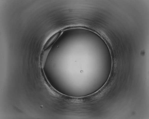 X0000090890789200708242000