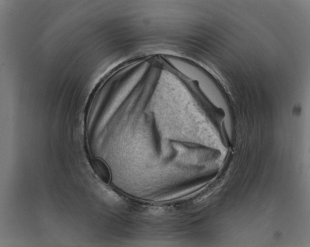 X0000090890790200708242000