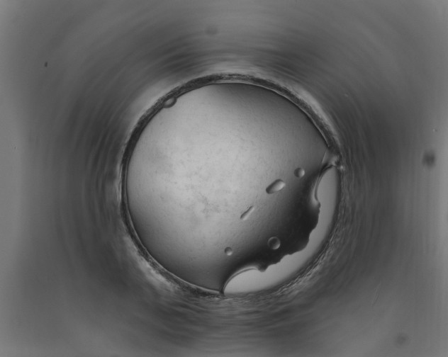 X0000090890791200708242000