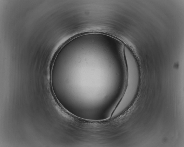 X0000090890792200708242000