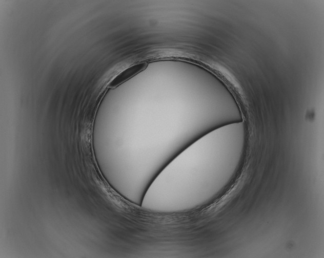 X0000090890793200708242000