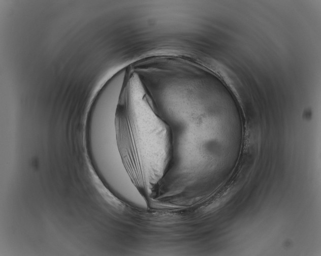 X0000090890795200708242000