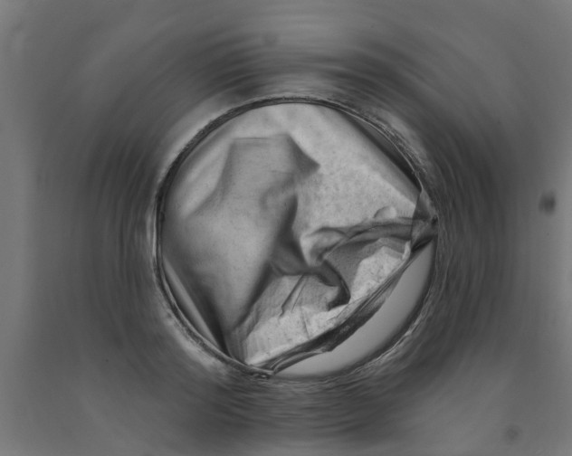 X0000090890796200708242000