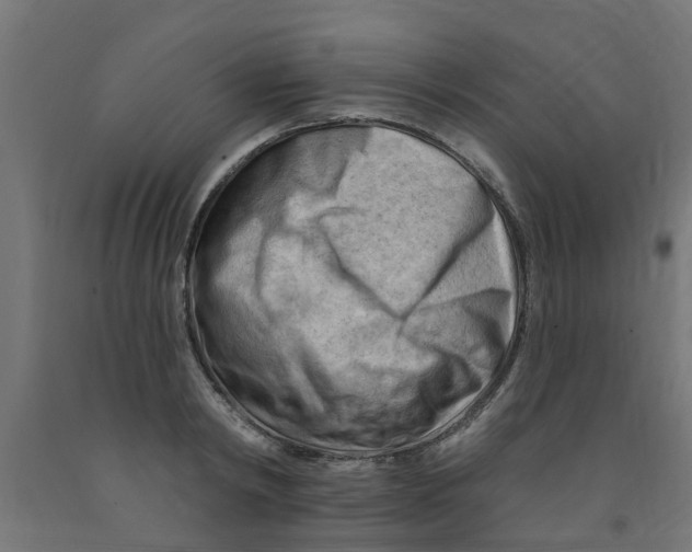 X0000090890798200708242000