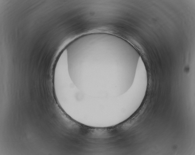 X0000090890800200708242000