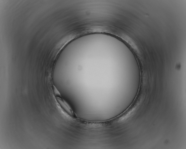 X0000090890801200708242000