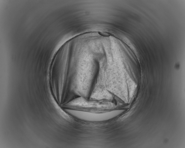 X0000090890803200708242000