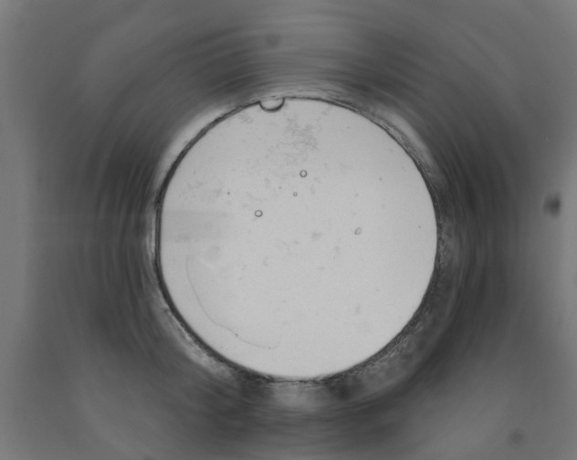 X0000090890804200708242000