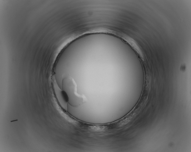 X0000090890805200708242000