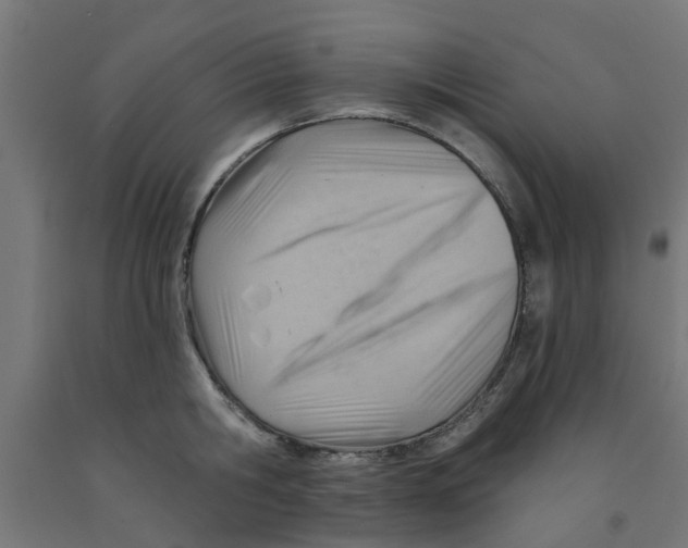 X0000090890806200708242000